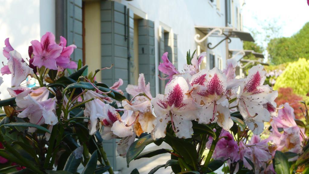 Residenza Serena Mirano Exteriör bild