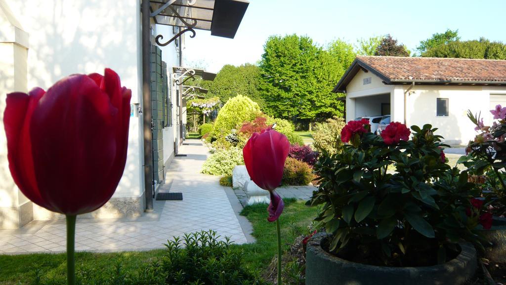 Residenza Serena Mirano Exteriör bild
