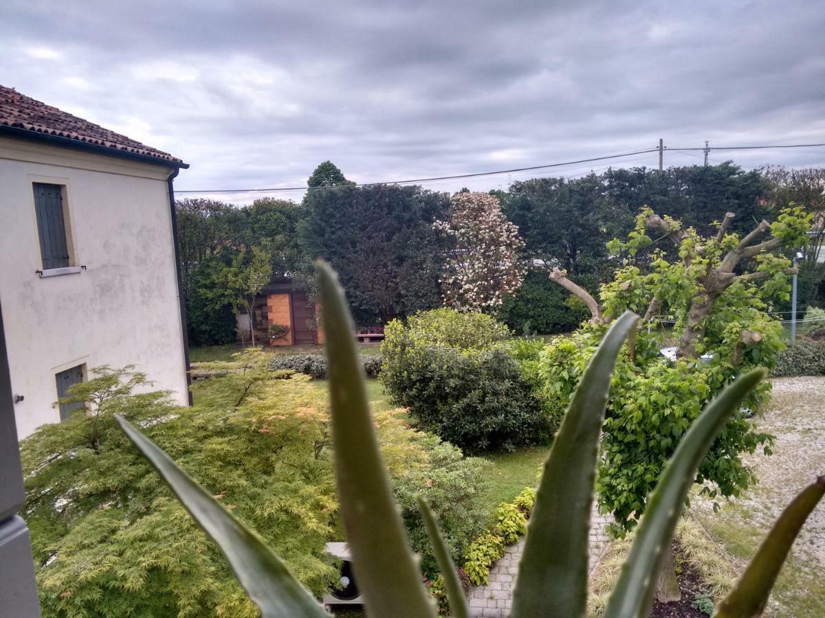 Residenza Serena Mirano Exteriör bild